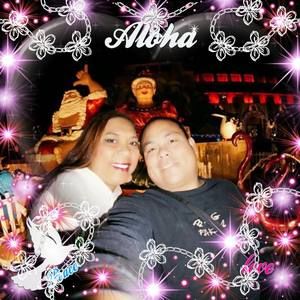 Meet your Posher, Laine